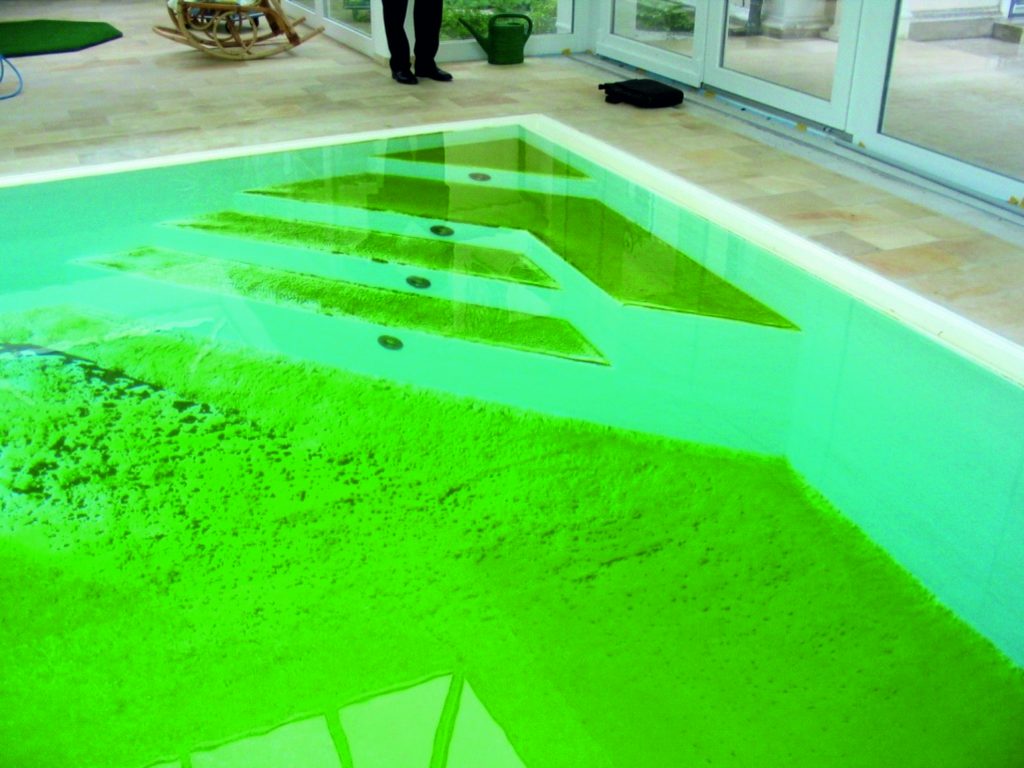 Cómo eliminar las algas en la piscina