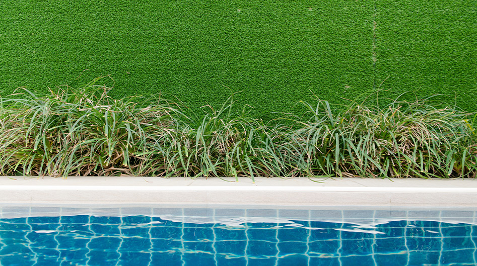 formas de evitar que la piscina se ponga verde